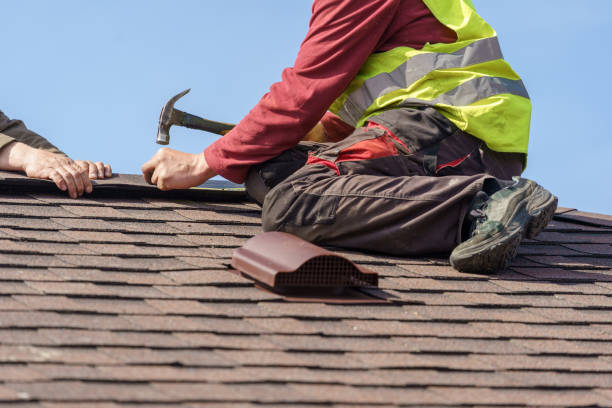 Best Roof Gutter Cleaning  in Warner Robins, GA