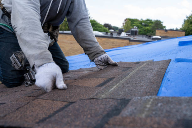 Best Shingle Roofing Installation  in Warner Robins, GA